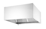 Wall-mounted extractor hood