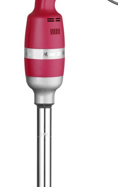 Stick blender Profi Line 300 - with adjustable speed