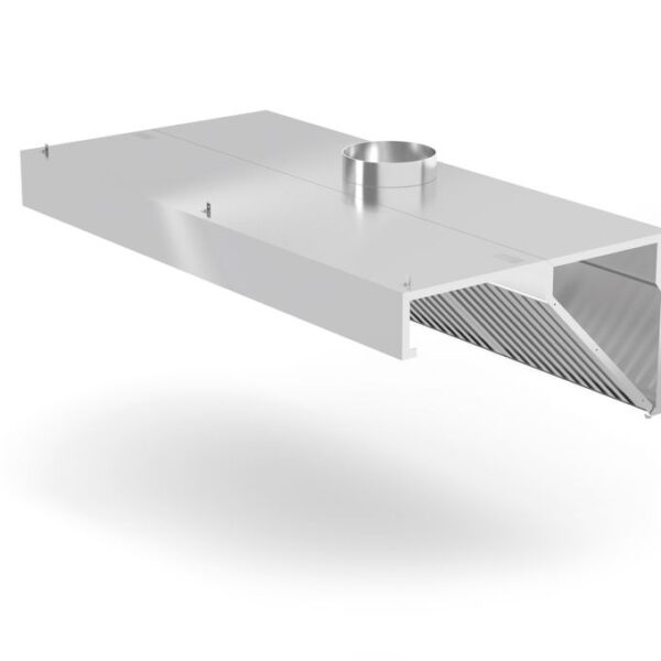 Wall-mounted extractor hood