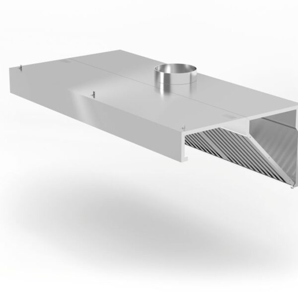 Wall-mounted extractor hood