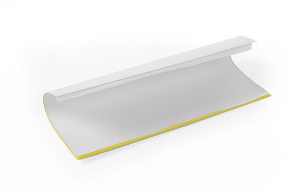 Adhesive plate for Insect killers