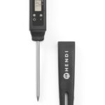 Pocket thermometer with probe