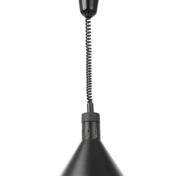 Rise and fall heat lamp