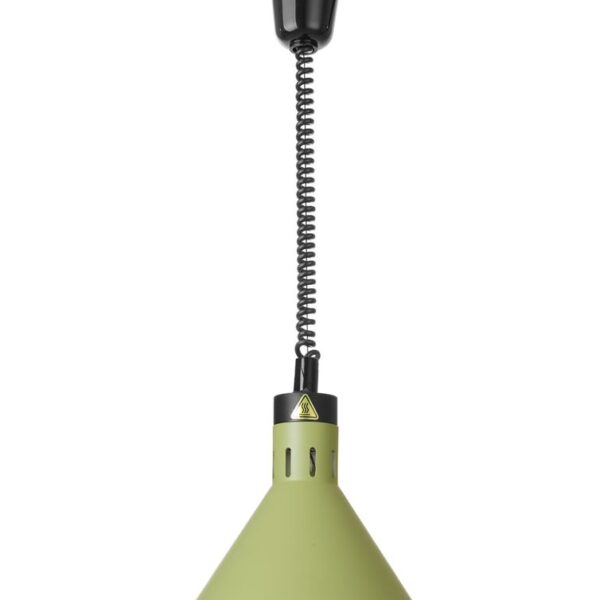 Rise and fall heat lamp