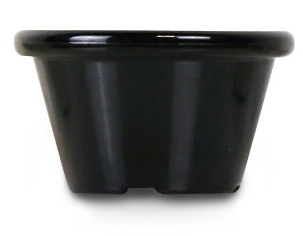 Ramekin