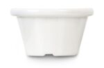 Ramekin - 12 pcs
