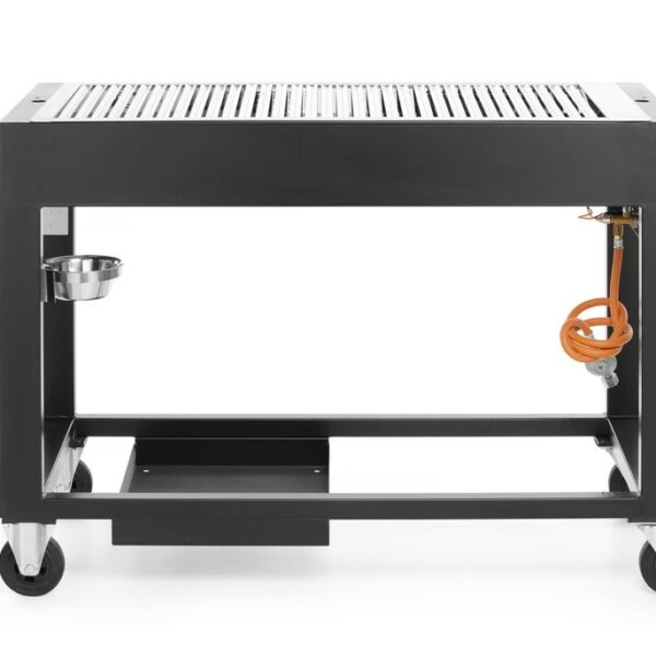 Gas barbecue Tampa