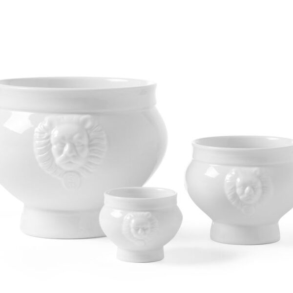 Soup bowl