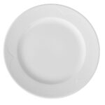 Dinner plate