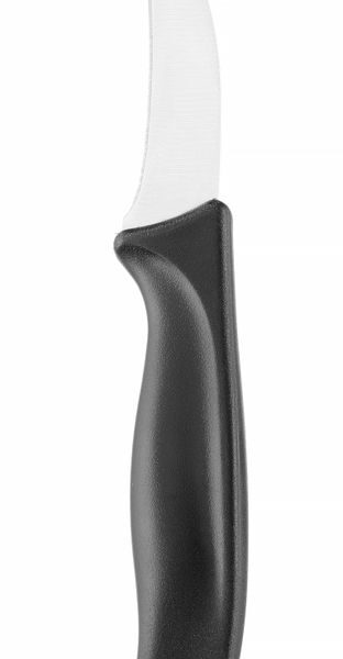 Paring knife