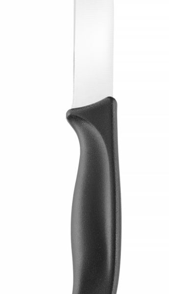 Paring knife