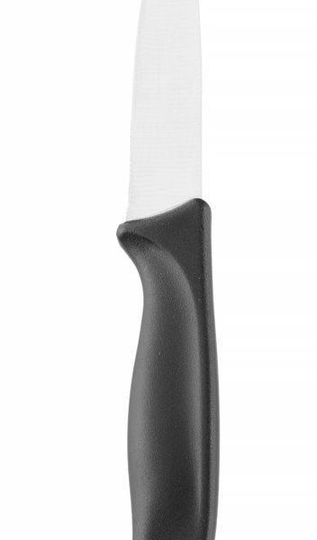 Paring knife