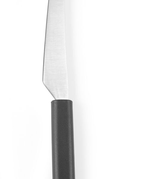 Cheese knife for hard cheese