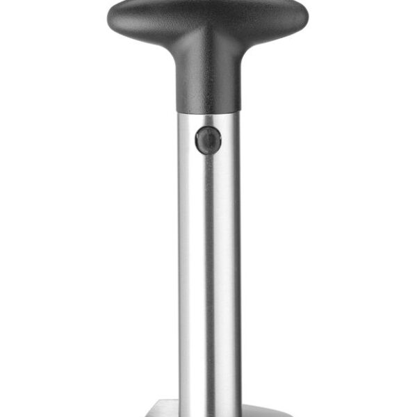 Pineapple slicer