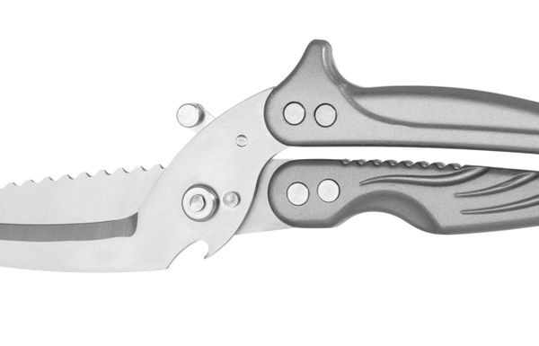 Detachable poultry shears