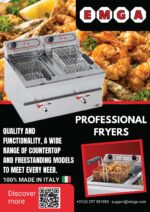Stilfer friteuse |10L|+|10L|  3.650 W - Afbeelding 2