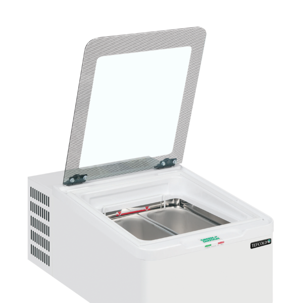 TEFCOLD Professionele koeling ICE2
