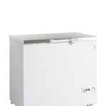 TEFCOLD Professionele koeling - FR305S SL