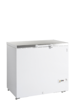 TEFCOLD Professionele koeling - FR305S SL