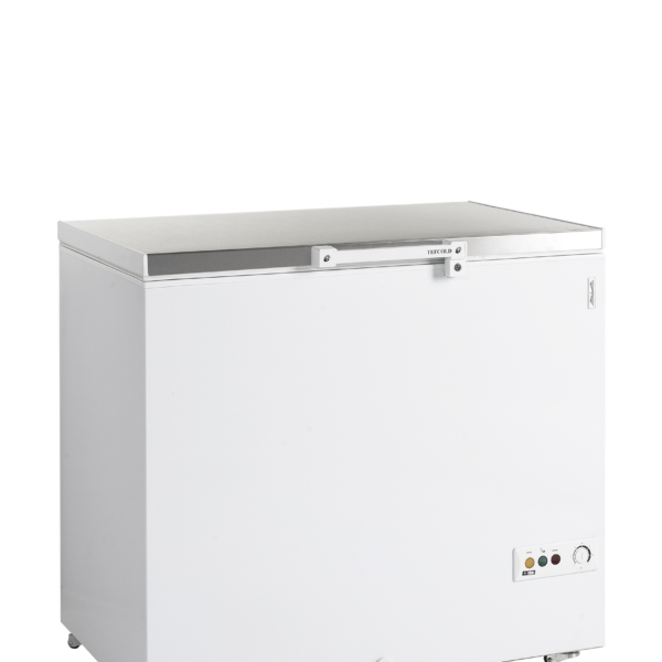 TEFCOLD Professionele koeling FR305S SL