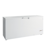TEFCOLD Professionele koeling - FR605 SL
