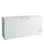 TEFCOLD Professionele koeling - FR605 SL