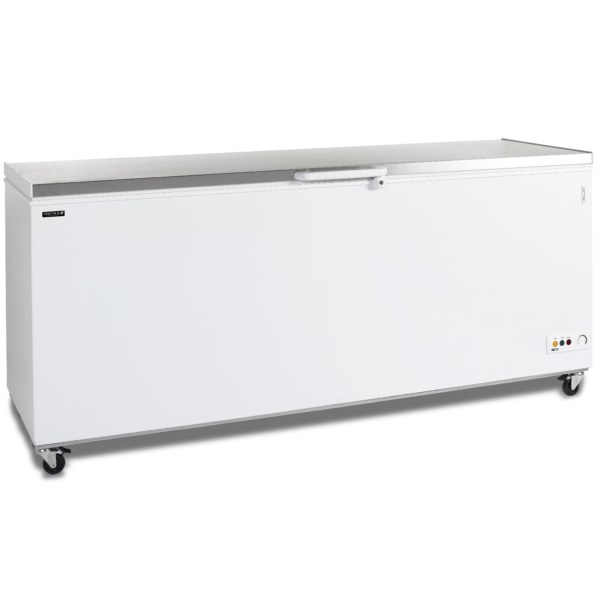 TEFCOLD Professionele koeling CF700S SL