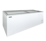 TEFCOLD Diepvrieskist voor een uitstekende productpresentatie - IDA600-W1