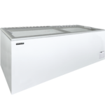 TEFCOLD Diepvrieskist voor een uitstekende productpresentatie - IDA600-W1