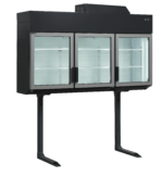 TEFCOLD 3-deurs vriezer/koeler, wandkast, voor maximale bergruimte - MTF210B