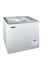TEFCOLD Diepvrieskist voor een uitstekende productpresentatie - IDA200-W1
