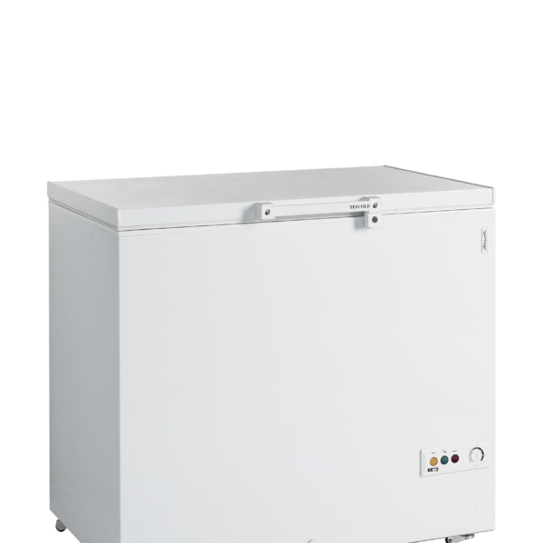 TEFCOLD Professionele koeling FR305 SL