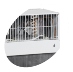 TEFCOLD Professionele koeling - FS80CP - Afbeelding 4