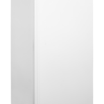 TEFCOLD Professionele koeling - UR550