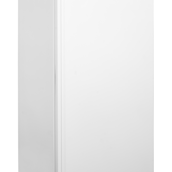 TEFCOLD Professionele koeling UR550