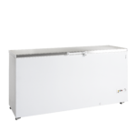 TEFCOLD Professionele koeling - FR605S SL