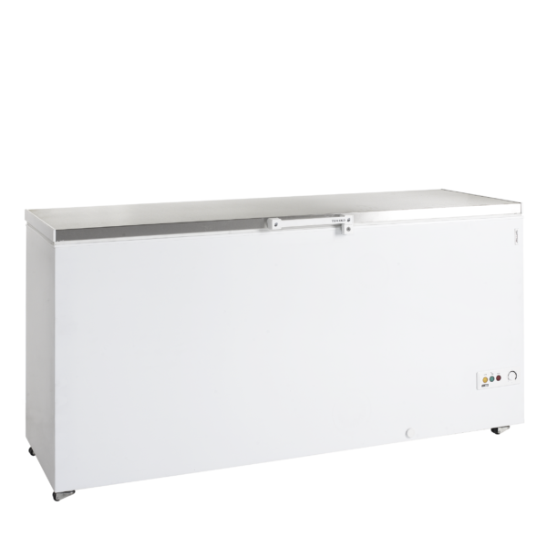 TEFCOLD Professionele koeling FR605S SL