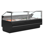 TEFCOLD Premium koeltoonbank voor verse vis - SOCA-F25090B