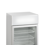 TEFCOLD Professionele koeling - UF100GCP