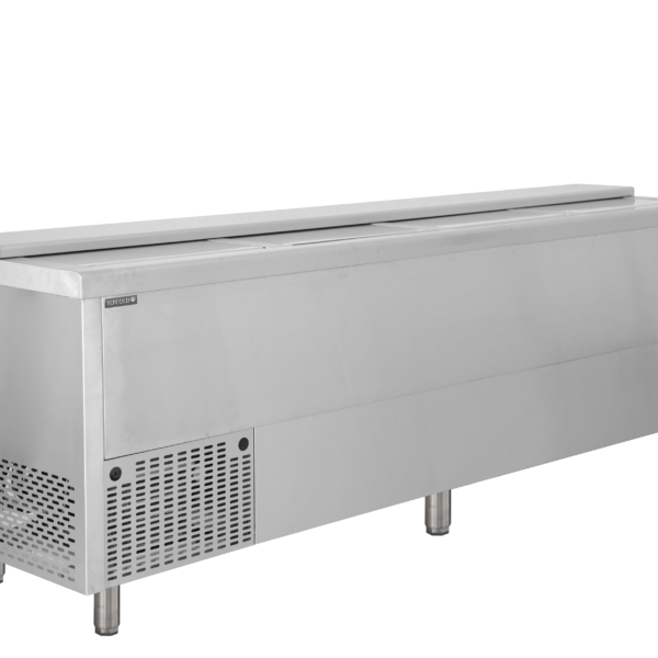 TEFCOLD Professionele koeling BHC250X1
