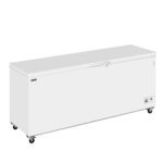 TEFCOLD Professionele koeling - CF700 SL