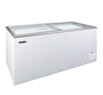 TEFCOLD Diepvrieskist voor een uitstekende productpresentatie - IDA500-W1