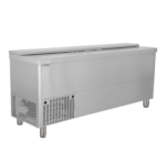 TEFCOLD Professionele koeling - BHC200X1