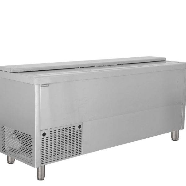 TEFCOLD Professionele koeling BHC200X1