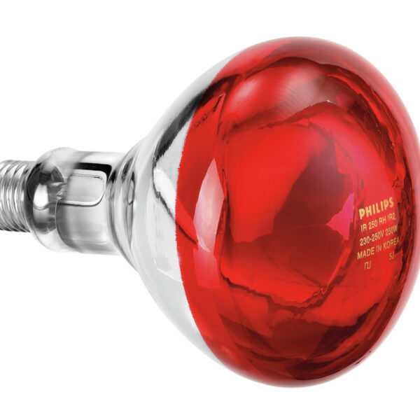 Infraroodlamp IWL250D