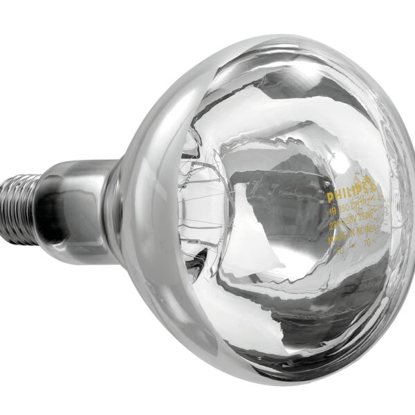 Infraroodlamp IWL250D-W