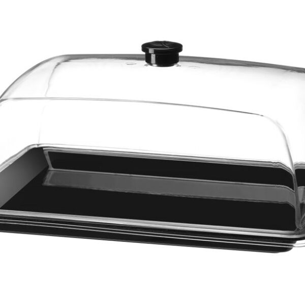 Display tray with lid