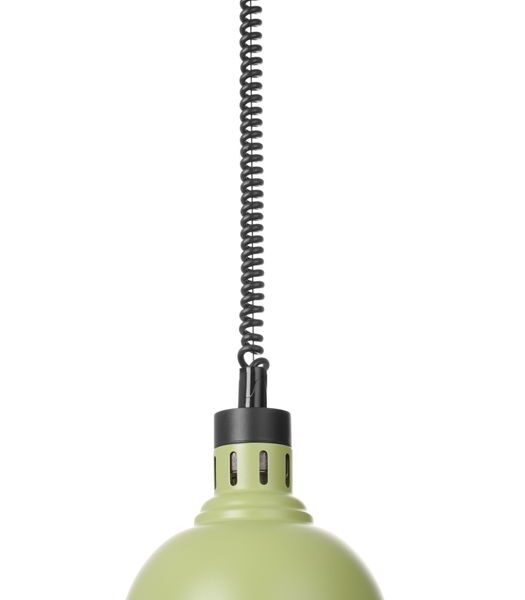 Rise and fall heat lamp