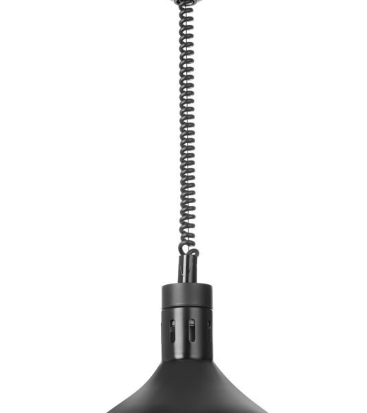 Rise and fall heat lamp