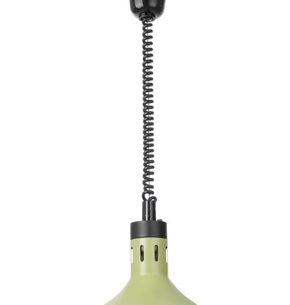 Rise and fall heat lamp